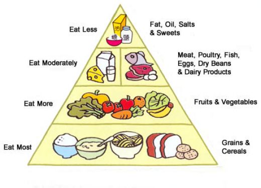 anti-obesity diet chart
