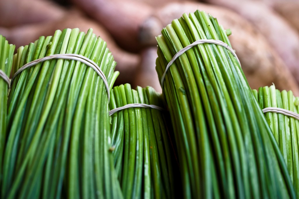 close-up of chives - nutritional facts